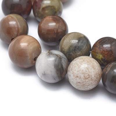 Natural Petrified Wood Beads Strands G-I254-07B-1