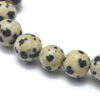 Natural Dalmatian Jasper Bead Stretch Bracelets BJEW-K212-B-014-1