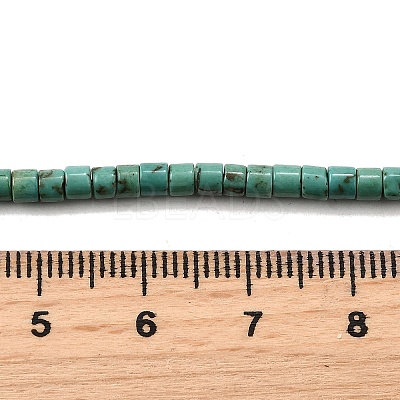 Natural Howlite Beads Strands G-F791-A01-1