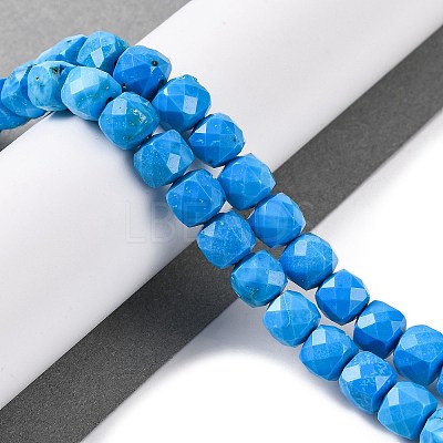 Natural Howlite Beads Strands G-G001-B03-04-1