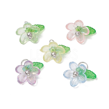 30Pcs 5 Colors Plastic & Acrylic Pendants PALLOY-JF03053-02-S-1