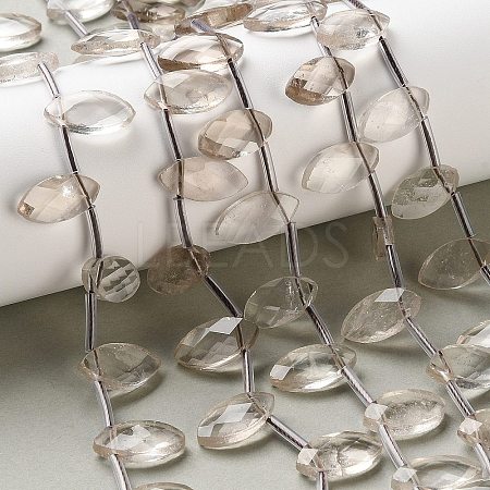 Natural Smoky Quartz Beads Strands G-P607-A10-01-1