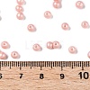 Glass Seed Beads SEED-T007-01C-4