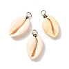 Natural Cowrie Shell Pendants PALLOY-JF00940-02-2