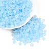 FGB Frosted Transparent Glass Seed Beads SEED-N013-03A-11-1