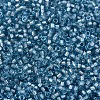 MIYUKI Delica Beads SEED-MY11-DB2383-3