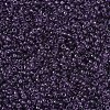MIYUKI Round Rocailles Beads SEED-JP0008-RR0157-3