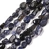 Natural Iolite/Cordierite/Dichroite Beads Strands G-A284-A02-01-2