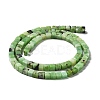 Natural Serpentine Beads Strands G-L585-C01-01-3