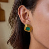 304 Stainless Steel Acrylic Nuggets Stud Earrings FS-WG2C215-02-1