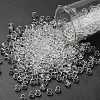 TOHO 6/0 Round Beads X-SEED-TR06-0001-1
