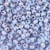 6/0 Glass Seed Beads SEED-N008-07B-3