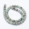 Natural Sesame Jasper/Kiwi Jasper Beads Strands G-F518-18-6mm-2