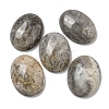 Natural Crazy Agate Cabochons G-C115-01B-33-1