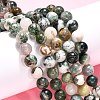 Natural Tree Agate Beads Strands X-G-H1633-8MM-4