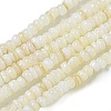 Dyed Natural Freshwater Shell Beads Strands BSHE-G039-07N-1
