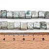 Natural Variscite Beads Strands G-T140-41A-5