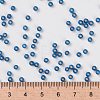 MIYUKI Round Rocailles Beads SEED-JP0009-RR0648-2