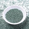MIYUKI Delica Beads SEED-X0054-DB1846-2