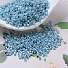 MIYUKI Delica Beads X-SEED-J020-DB0218-1