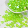 Eco-Friendly Transparent Acrylic Beads X-PL539-835-1