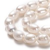 Natural Cultured Freshwater Pearl Beads Strands PEAR-L033-70-01-2