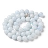 Natural Celestite/Celestine Beads Strands G-M414-A01-03-2