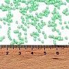 Baking Paint Glass Seed Beads X-SEED-S042-05B-59-4