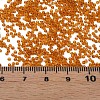 15/0 Transparent Czech Glass Seed Beads SEED-N004-004-17-6