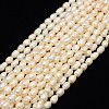 Natural Cultured Freshwater Pearl Beads Strands X-PEAR-L001-E-20-1