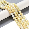 Baking Paint Glass Bead Strands GLAA-H031-01B-03-2