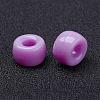 Opaque Acrylic European Beads PL338-71-3