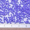 MIYUKI Round Rocailles Beads SEED-G007-RR0483-4