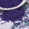 MIYUKI Delica Beads SEED-X0054-DB0696-1
