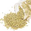 MIYUKI Delica Beads X-SEED-J020-DB2502-1