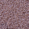 MIYUKI Round Rocailles Beads SEED-JP0008-RR0579-3