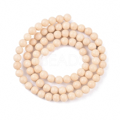 Natural Fossil Beads Strands G-E110-4mm-2-1