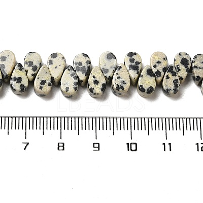 Natural Dalmatian Jasper Beads Strands G-B064-B11-1