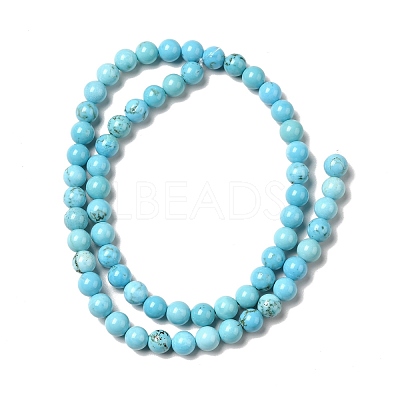 Dyed & Heated Natural Magnesite Beads Strands G-G924-01B-03-1