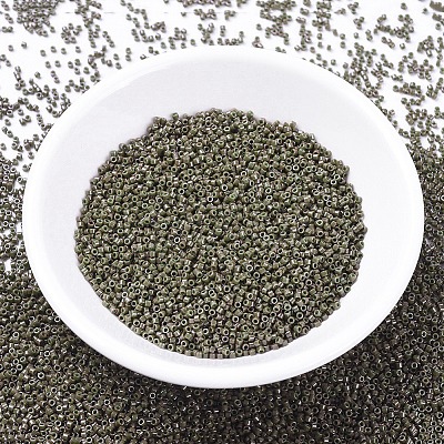 MIYUKI Delica Beads SEED-MY11-DB0657-1