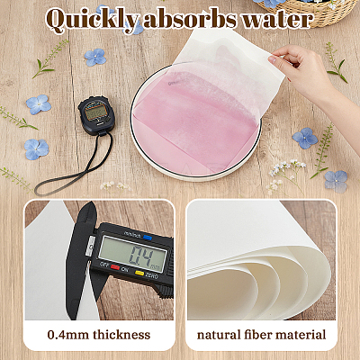Dried Embossed Paper DIY-WH0622-646B-1