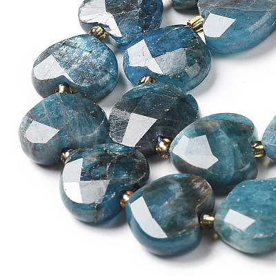 Natural Apatite Beads Strands G-B044-B06-01-1