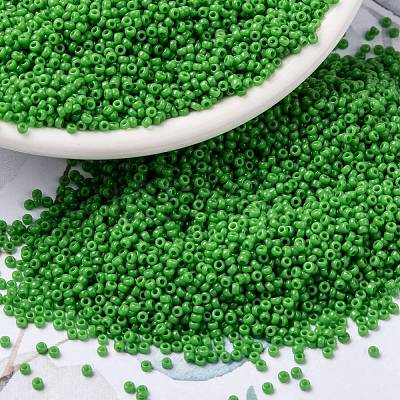 MIYUKI Round Rocailles Beads SEED-G009-RR0411-1