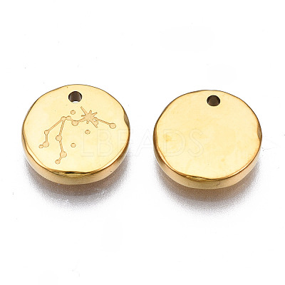 316 Surgical Stainless Steel Charms STAS-S116-418F-G-1