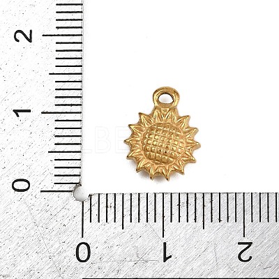304 Stainless Steel Charms LS-STAS-G363-12G-1