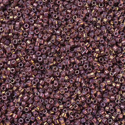 MIYUKI Delica Beads X-SEED-J020-DB1013-1