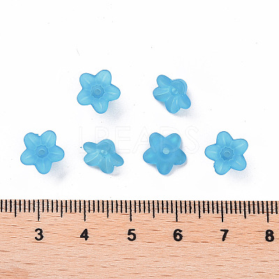 Transparent Acrylic Beads X-PL554-10-1