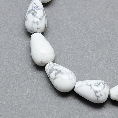Natural Howlite Gemstone Bead Strands G-T004-19-1