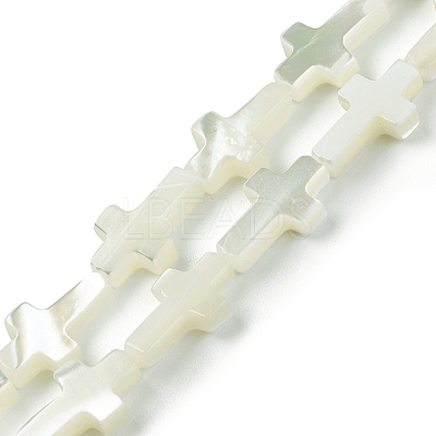 Natural Trochid Shell/Trochus Shell Beads Strands SSHEL-K027-02-1