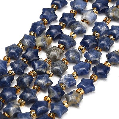 Natural Sodalite Beads Strands G-Z080-A28-8mm-1